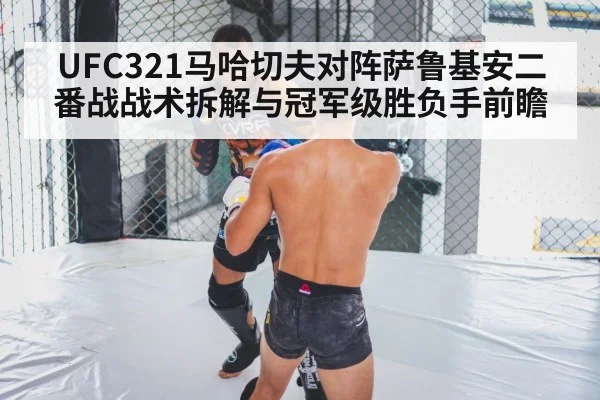 MMA cage grappling(SPORTS)